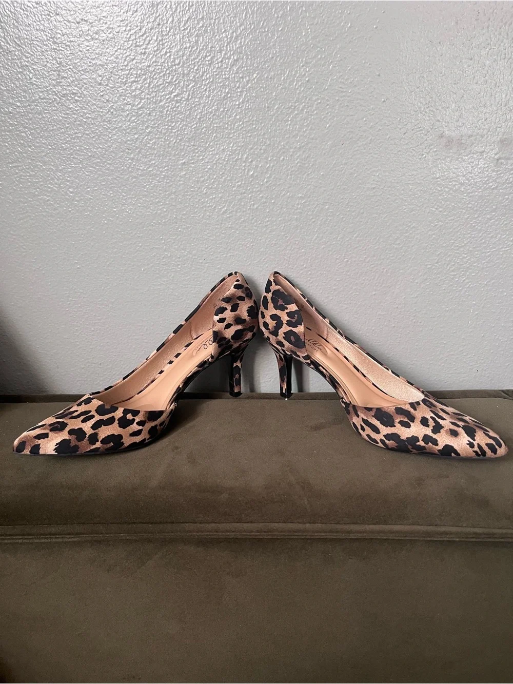 Abella chic pointed